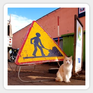 Maroc - Chat de Marrakech Sticker